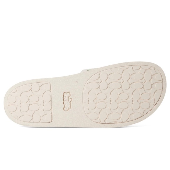 NWT COACH Udele Sport Slide with Sketch Print sandals - Picture 5 of 5